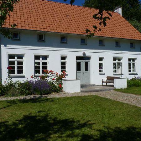 Traumhaftes Luxus-Ferienhaus Warnkenhagen  Екстериор снимка